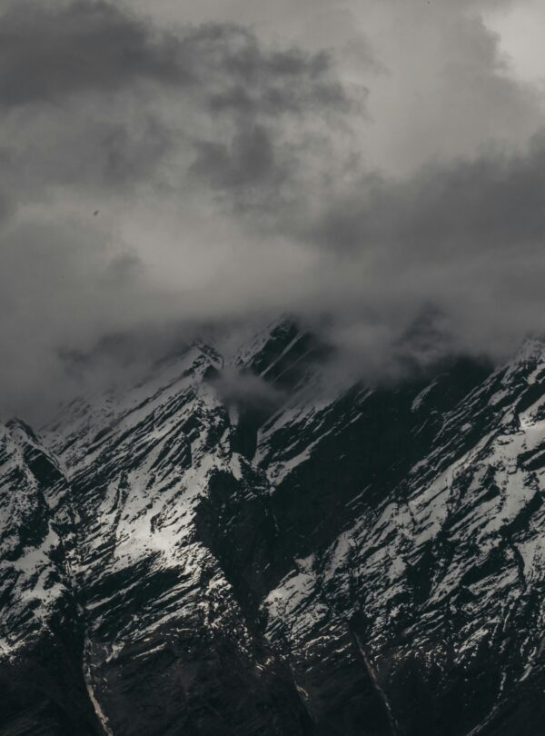 pexels-amanjakhar-1555504