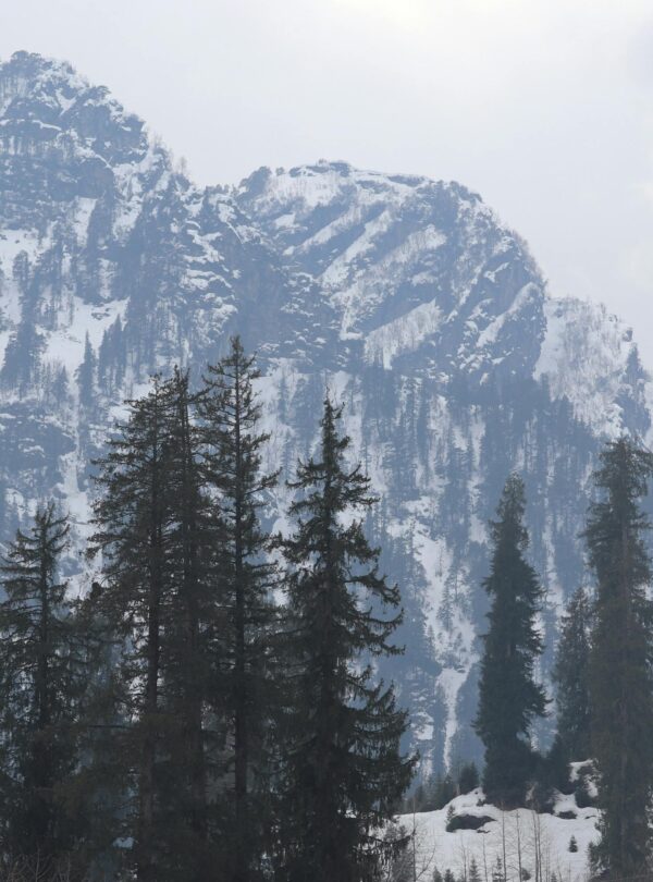 pexels-harsh-patil-3421066-5111005