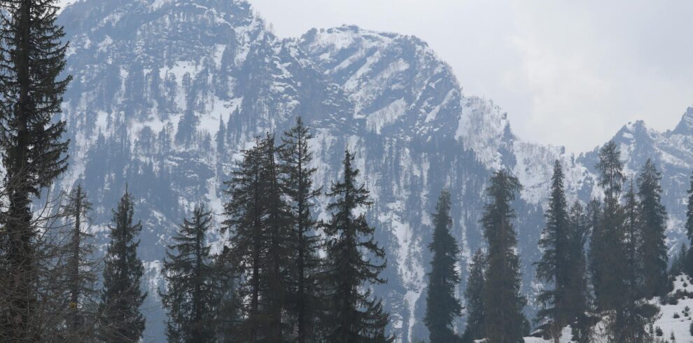 pexels-harsh-patil-3421066-5111005