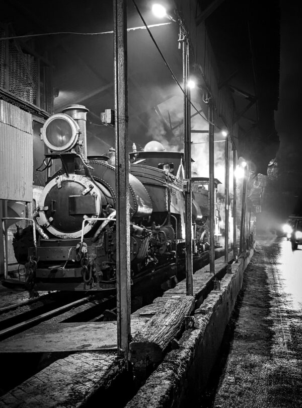 pexels-saul-goodman-462552455-15858810