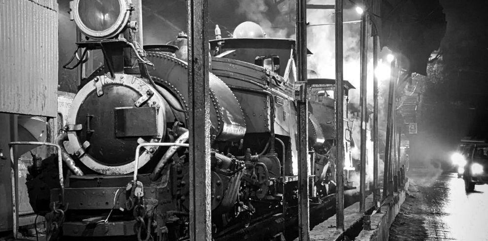 pexels-saul-goodman-462552455-15858810